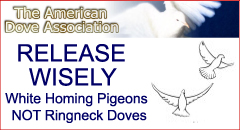 American Dove Association