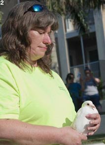 special events dove release