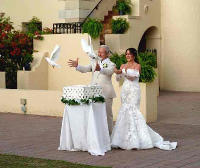 white bird wedding release